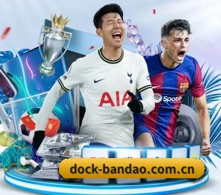 dock-bandao.com.cn APP 界面