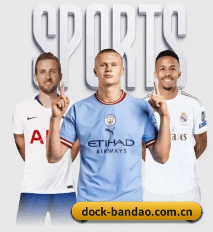 dock-bandao.com.cn围绕看球场景设计的核心服务